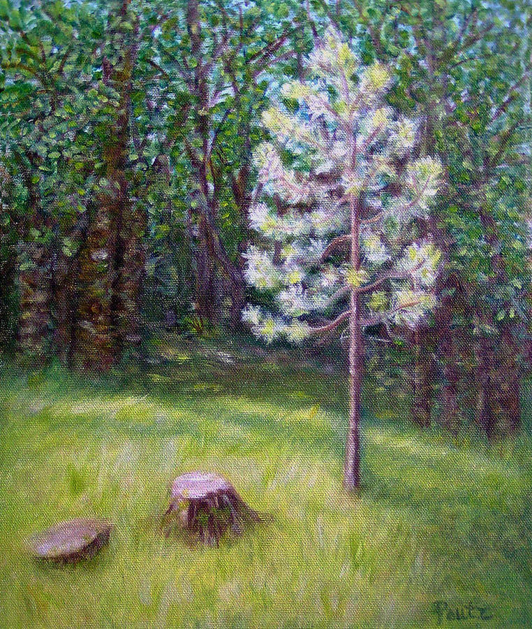 Sun Kissed Tree Painting by Gay Pautz
