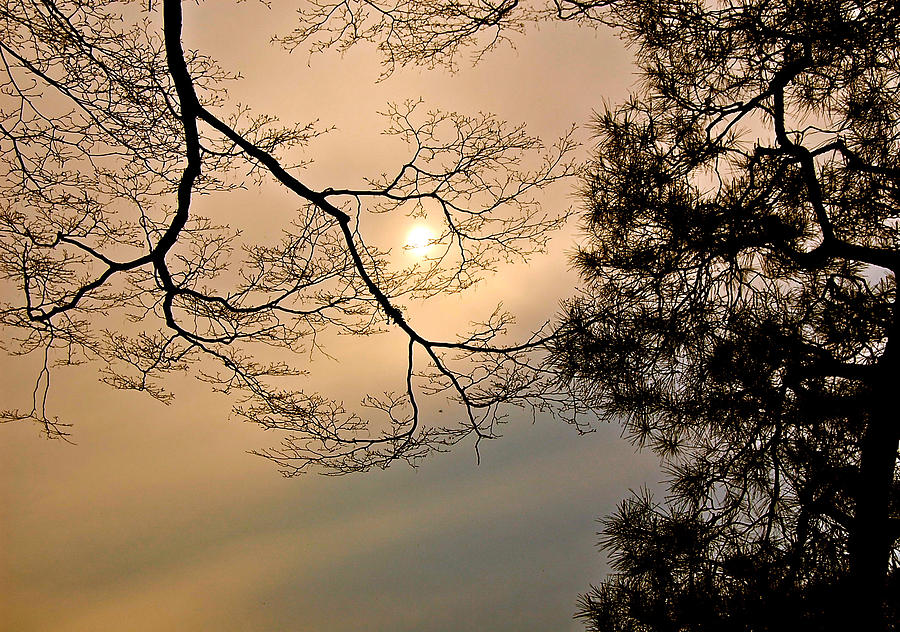 Sun Moon Photograph by HweeYen Ong