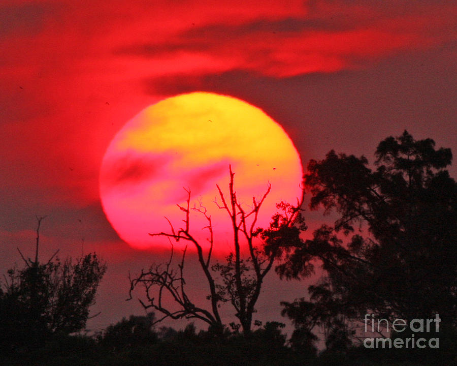 Louisiana Sunset on Fire Photograph by Luana K Perez