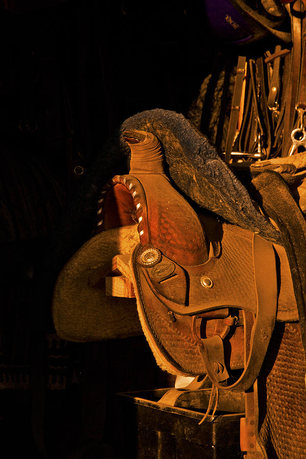 Sun on Leather Horse Saddle in Tack Room Equestrian Fine Art Photography Print Photograph by Jerry Cowart