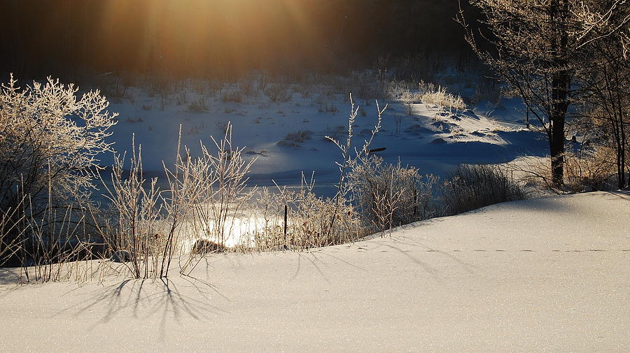 Sun On Snow Photograph by Mim White