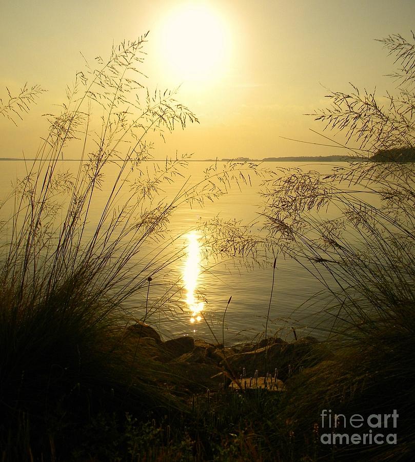 Sunrise Over Lake Murray #1 Digital Art by Matthew Seufer