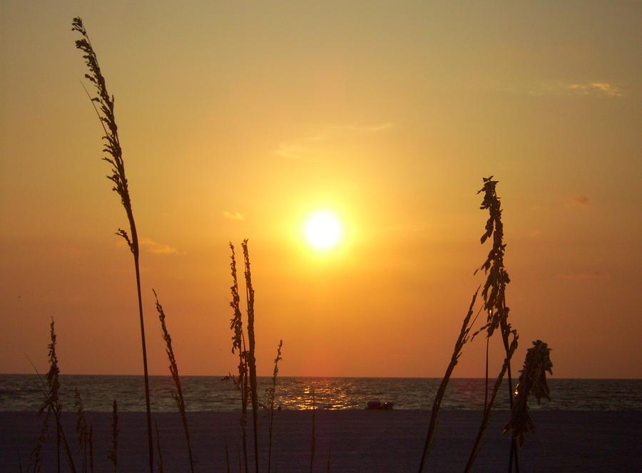 Sunset Photograph - Sun Over The Ocean by Cynthia Guinn