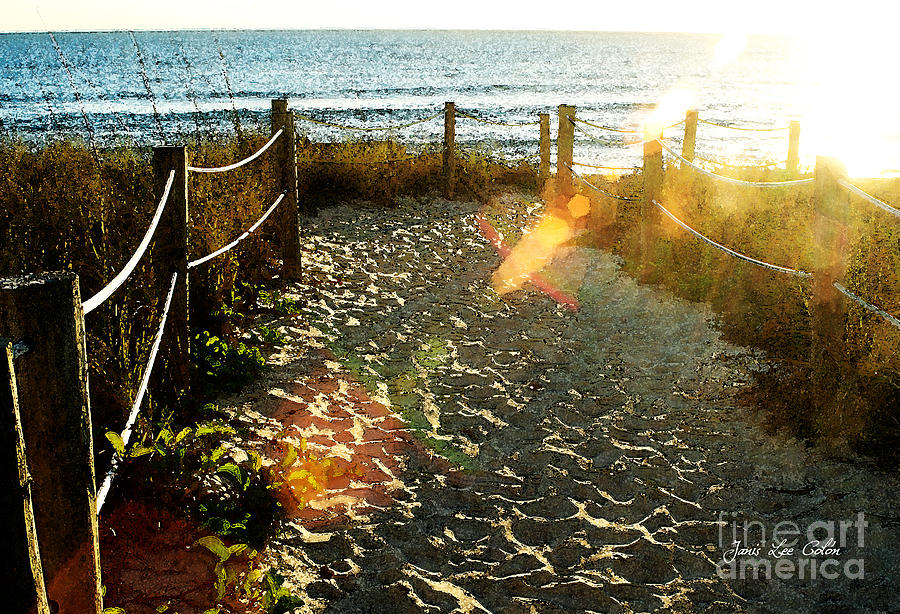 Sun Ray Beach Path Photograph by Janis Lee Colon