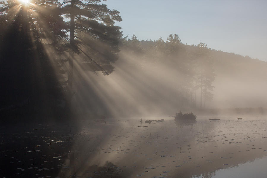 Sun rays at Lowell Lake Photograph by Vance Bell