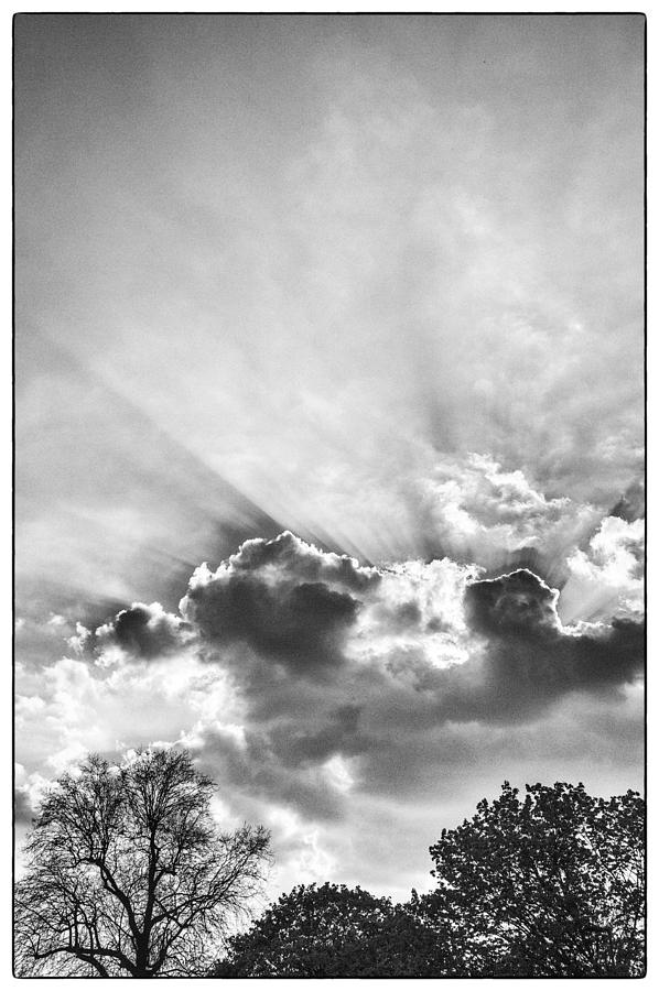 Sun Rays BW Photograph by Lenny Carter