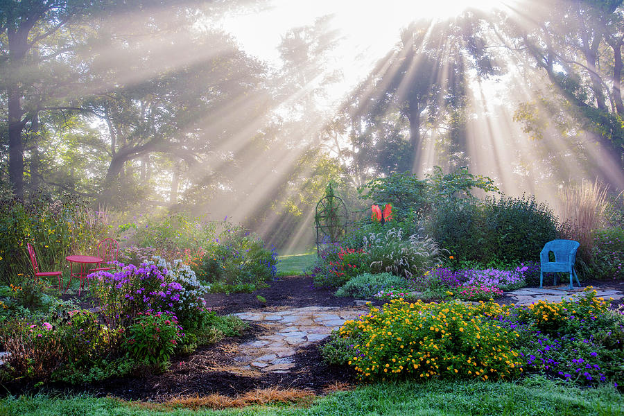 Sunshine Flower Garden