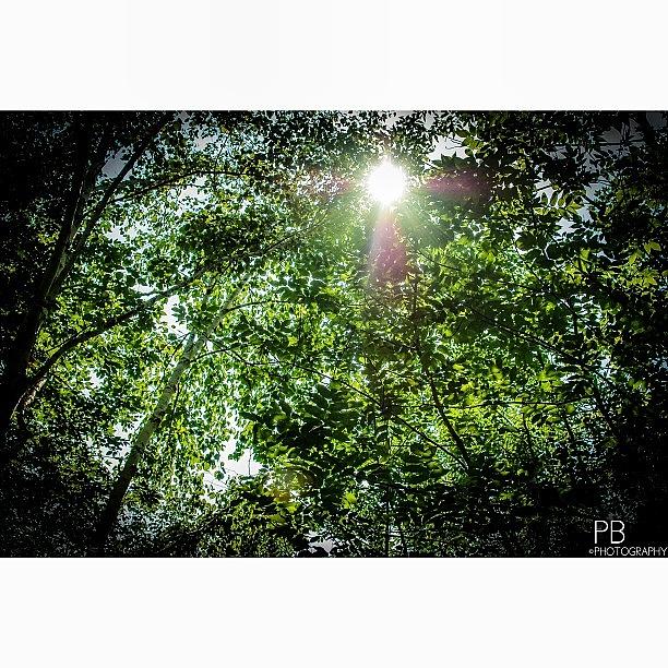 Nature Photograph - Sun Rays Never Get Old! #nikon by Pb Photography