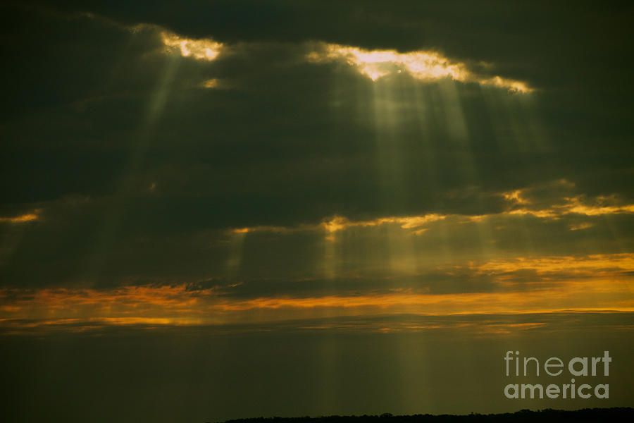 Sun Rays  Photograph by William Norton