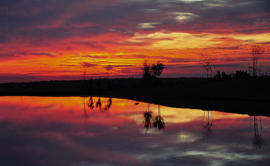 Sun Rise with Heron Photograph by John Johnson