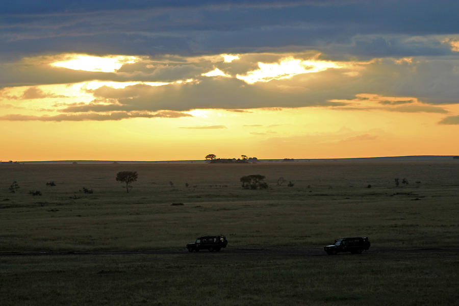 Sun rising over Serengeti Photograph by Tony Murtagh