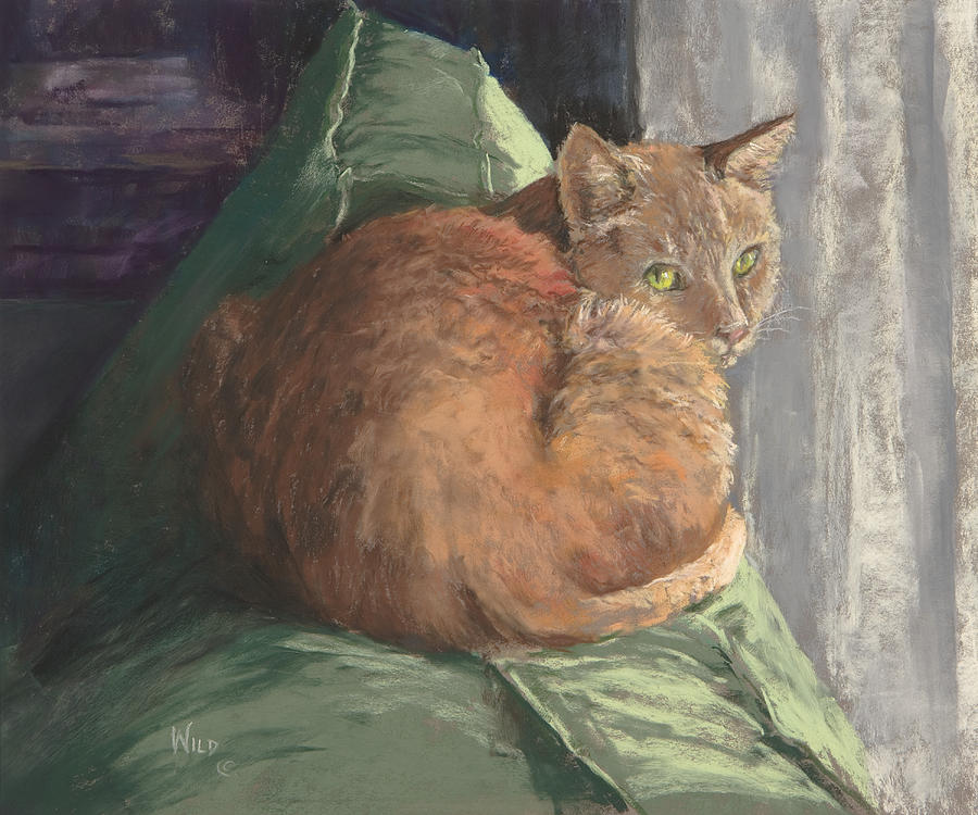 Cat Painting - Sun Seeker I by Paula Wild Cat Painting - Sun Seeker I by Paula Wild