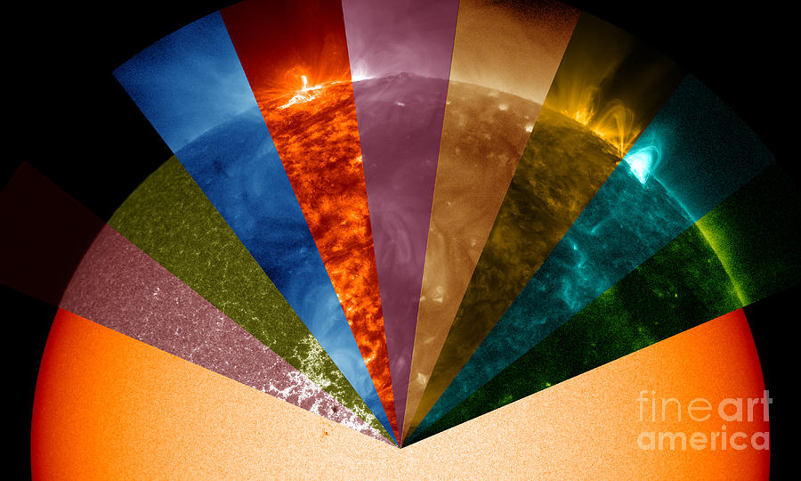 Sun Seen In Different Wavelengths Photograph by Science Source