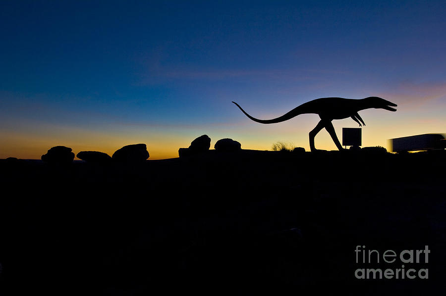 Sun Set Dinosaurs Photograph by Gary Warnimont