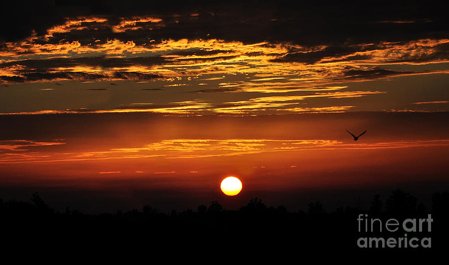 Sun Set In Rainy Days  Photograph by Manjot Singh Sachdeva