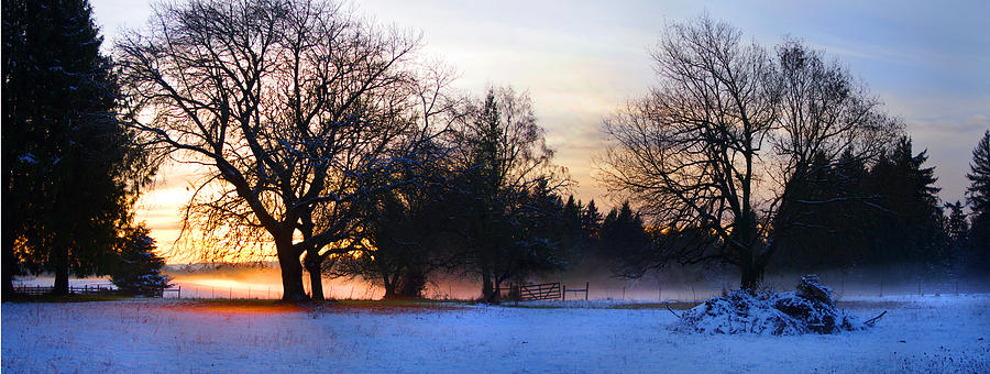 Tree Photograph - Sun setting on snow with fog on the ground behind by Harold Greer