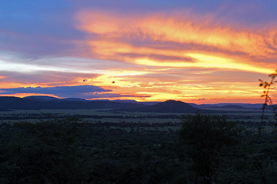 Sun setting over Serengeti Photograph by Tony Murtagh