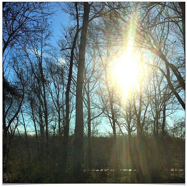 Run Photograph - Sun Shining Down On This Cold Morning by Jen  Peterman