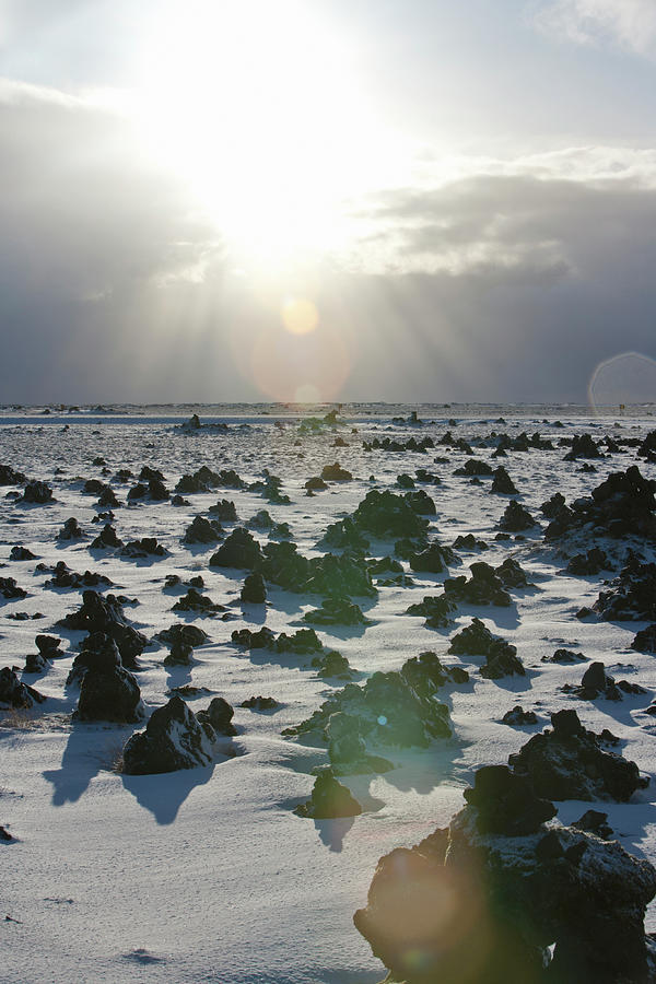 Sun Shining On A Field Of Lava Rocks Photograph by Thomas Kokta Sun Shining On A Field Of Lava Rocks Photograph by Thomas Kokta