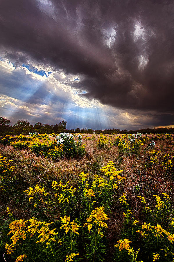 Landscape Photograph - Sun Showers by Phil Koch