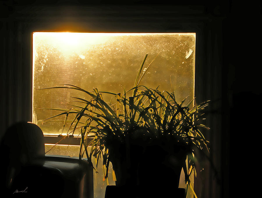 Sun Struck Photograph by The Art of Marsha Charlebois