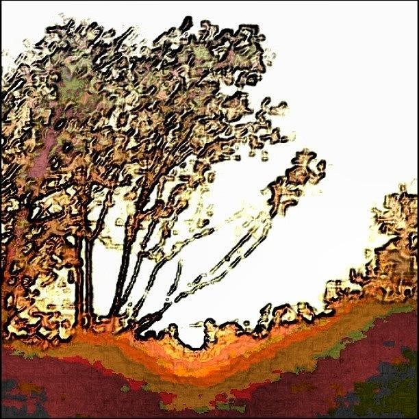Sun Thoughthe Trees .... Watercolor Edit Photograph by John Wilson