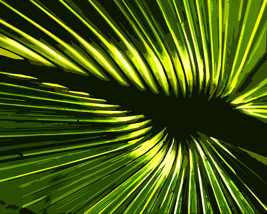 Sun Through the Palms Digital Art by Norman Johnson