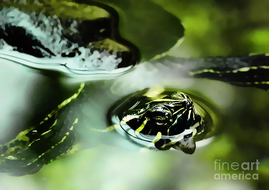 Sun Turtle Photograph by Raymond Earley