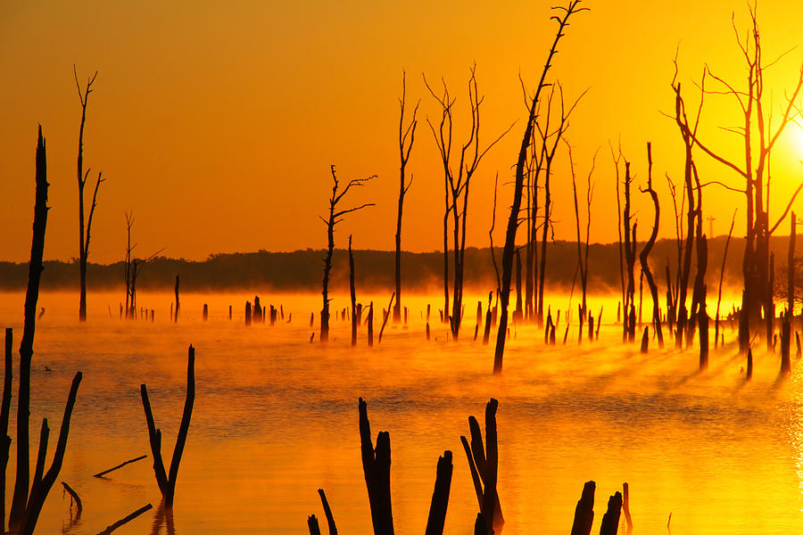 Sun up Manasquan Reservoir Photograph by Roger Becker