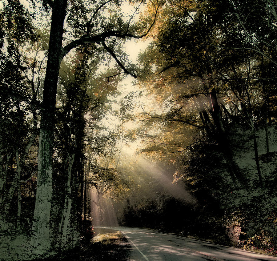 Sunbeams by Carol Kinkead Sunbeams by Carol Kinkead