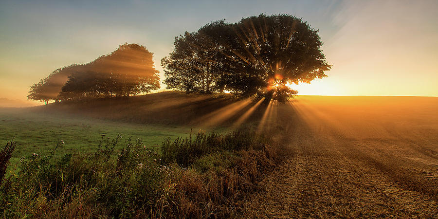 Sunset Photograph - Sunbeams by Leif L?ndal