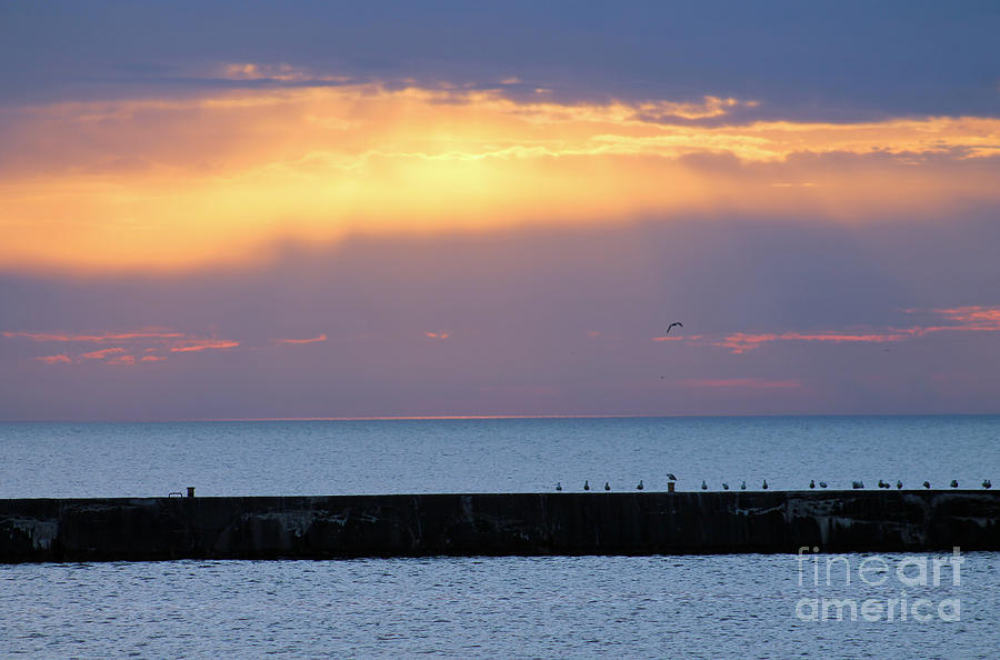 Sunbeams on the breakwater 3 Photograph by Eric Curtin | Fine Art America