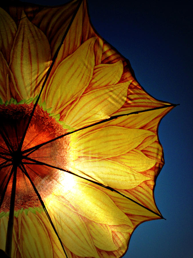 Sunflower Photograph - Sunbrella by Nanette Emerle