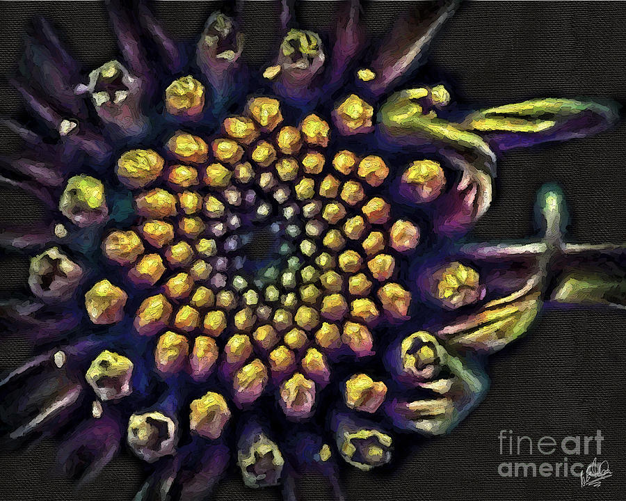 Sunburst Flower Painting by Walt Foegelle