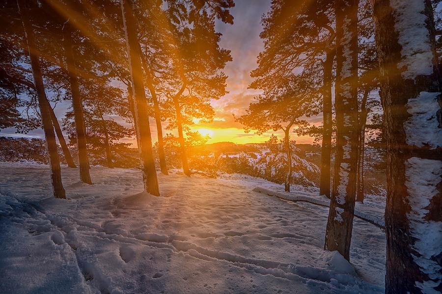 Sunset Photograph - Sunburst by Jason Green