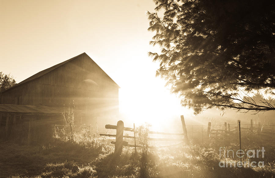 Sunburst on the Farm Photograph by Cheryl Baxter
