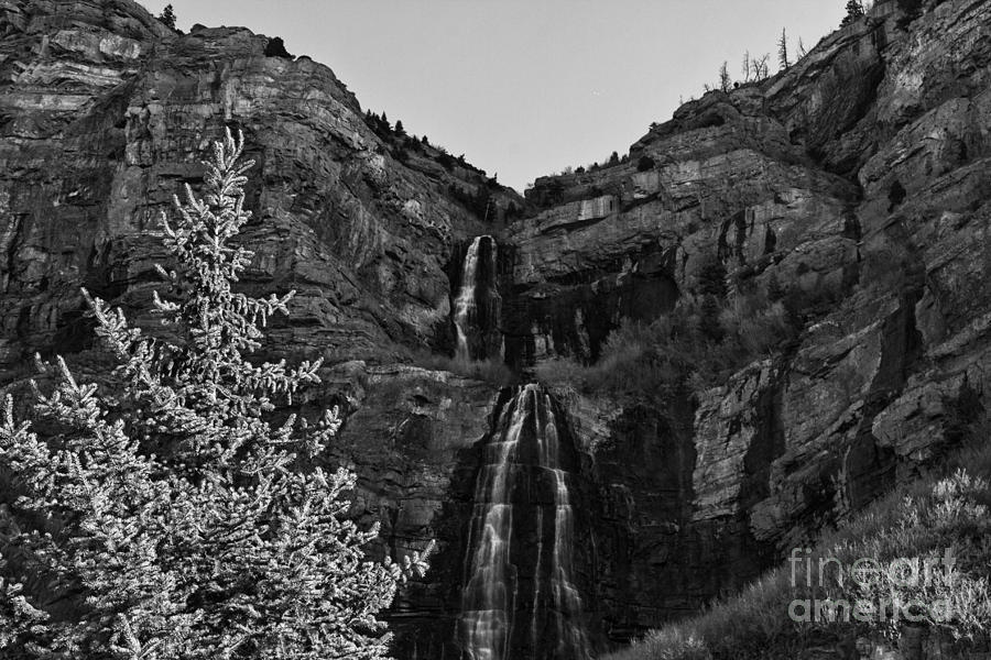 Sundance Bridal Veil Falls-Utah V2 Photograph by Douglas Barnard