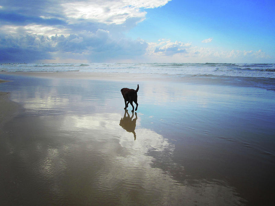 Sunday Morning Beach Photograph by Troydays