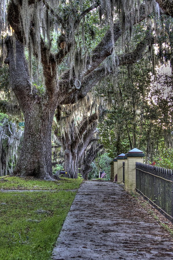 Sunday Morning Sidewalk Photograph by Steve Ratliff - Fine Art America