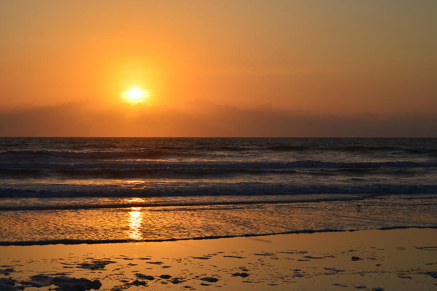 Daytona Beach Photograph - Sundays Golden Sunrise by DigiArt Diaries by Vicky B Fuller