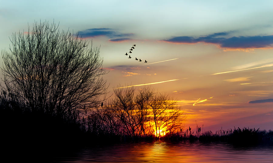 Sundown and Birds Photograph by Cathy Kovarik