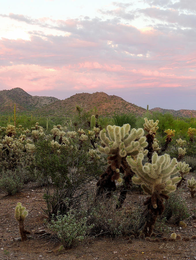 Mountain Photograph - Sundown Arizona by Gordon Beck
