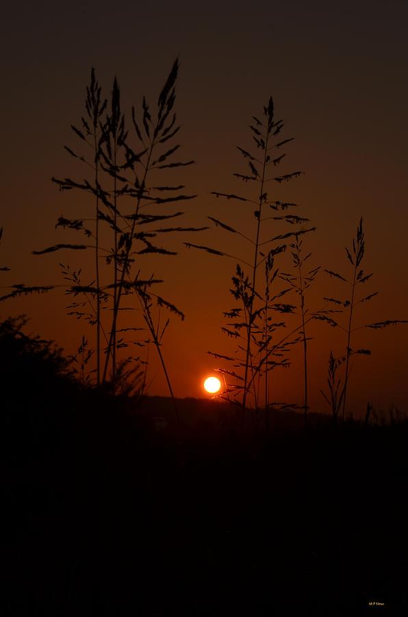 Sunset Photograph - Sundown at 7 by Maria Urso