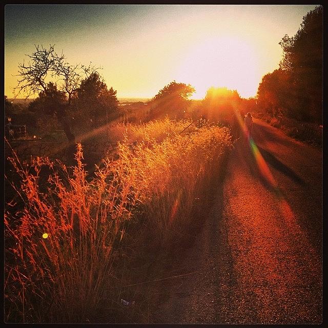 Winter Photograph - #sundown In The #countryside. #campo by Balearic Discovery