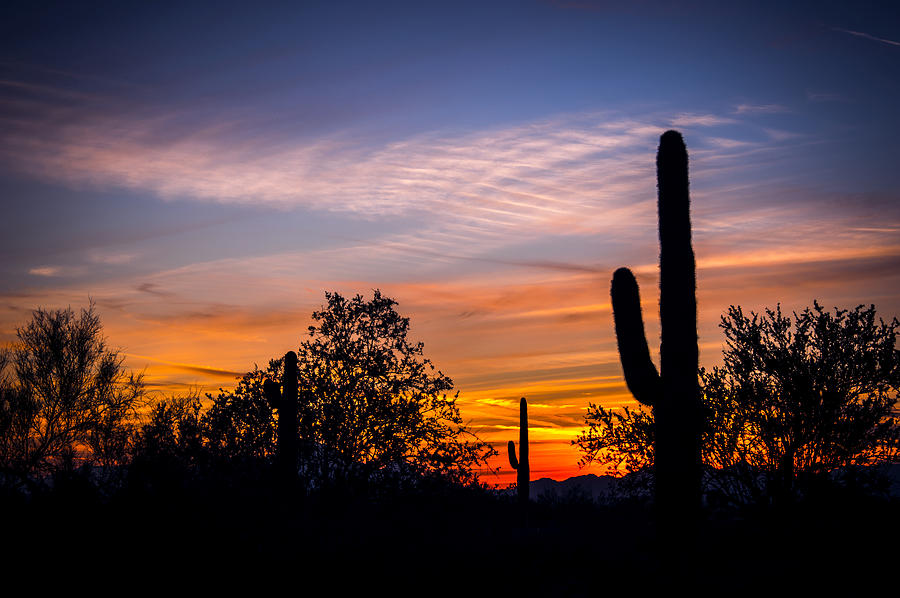 Sunset Photograph - Sundown in the desert by Anthony Citro