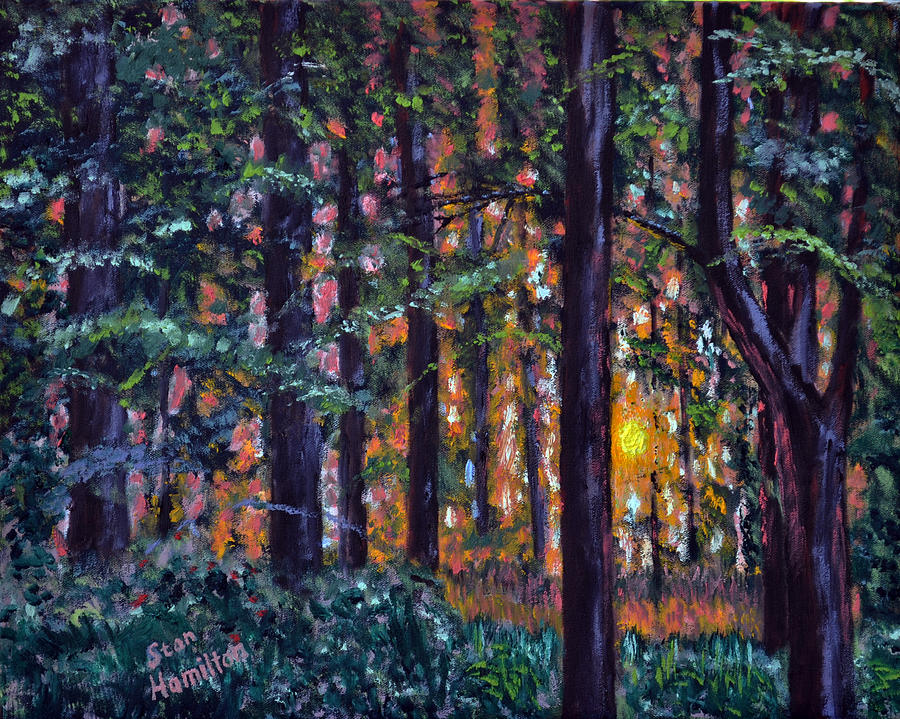 Sundown in Woods Painting by Stan Hamilton