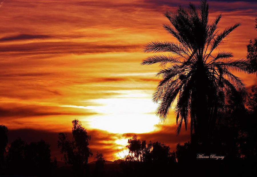 Desert Sunset Photograph - Sundown by Marcia Breznay