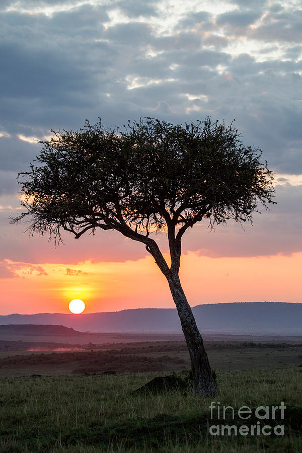 Sunset Photograph - Sundown Over Maasai Mara by Greg Dimijian