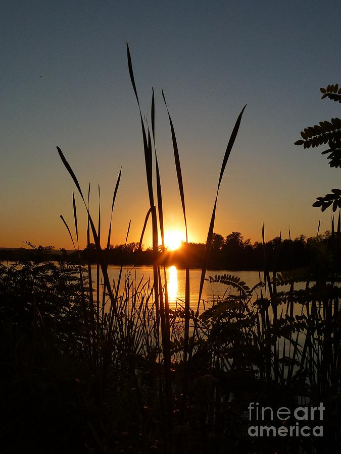 Sundown over the Silver Lake Photograph by Amalia Suruceanu