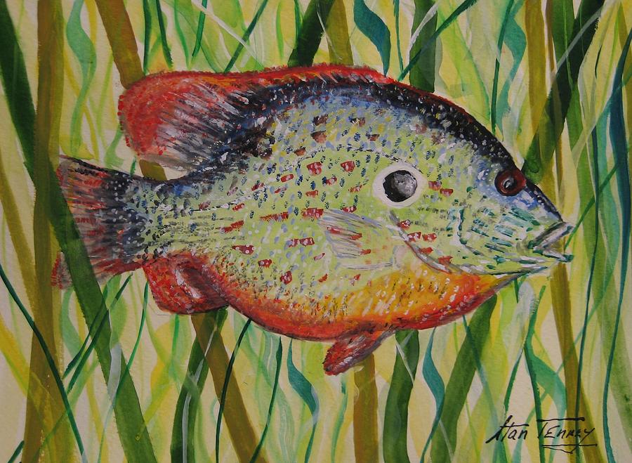 Sunfish Painting by Stan Tenney